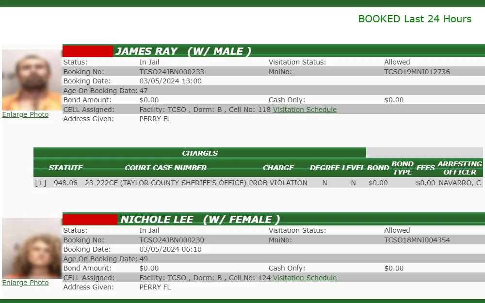 A screenshot displaying two arrestees that have been recently booked, including their photograph, name, race, sex, status, booking number, booking date and time, age on booking date, bond amount, cell assignment, address given, visitation status., and charges.