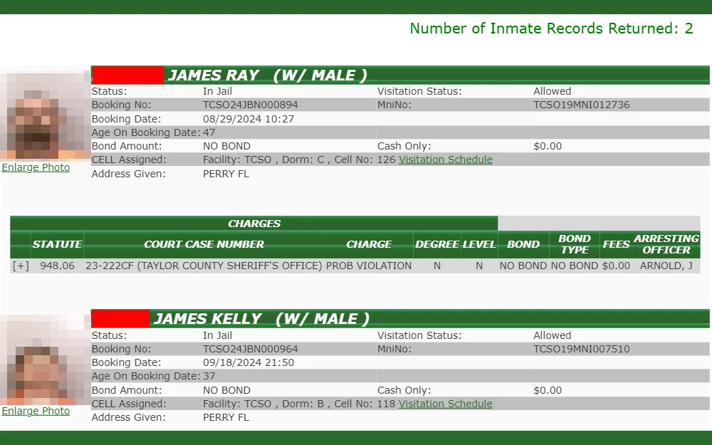 A screenshot of search results from the online inmate roster provided by the Taylor County Sheriff's Office displays the booking information for two arrestees, including their mugshots, names, races, sexes, custody and visitation statuses, booking and inmate numbers, booking dates, ages, bond amounts, facilities, addresses, and charges.